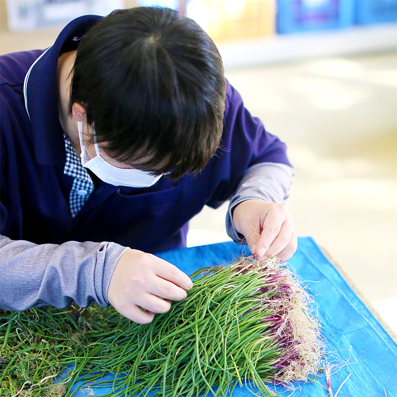 地域社会の中にある生活